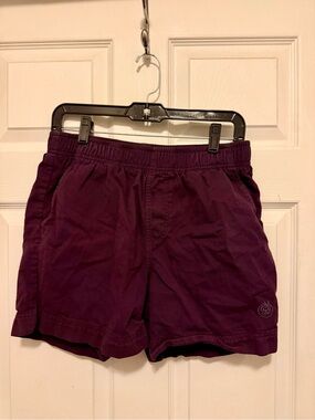 Plum Casual Elastic-Waist Shorts